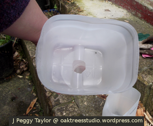 I created my Comfrey concentrate container from three upcycled milk cartons. You can see the small hole that will allow the liquid to drain through into the collecting pot below.