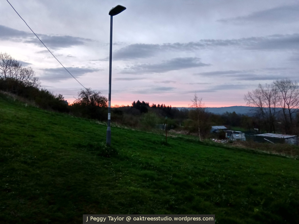 Sunrise over wooded valley with pink tinges to the lavender grey sky as it meets the hills on the horizon